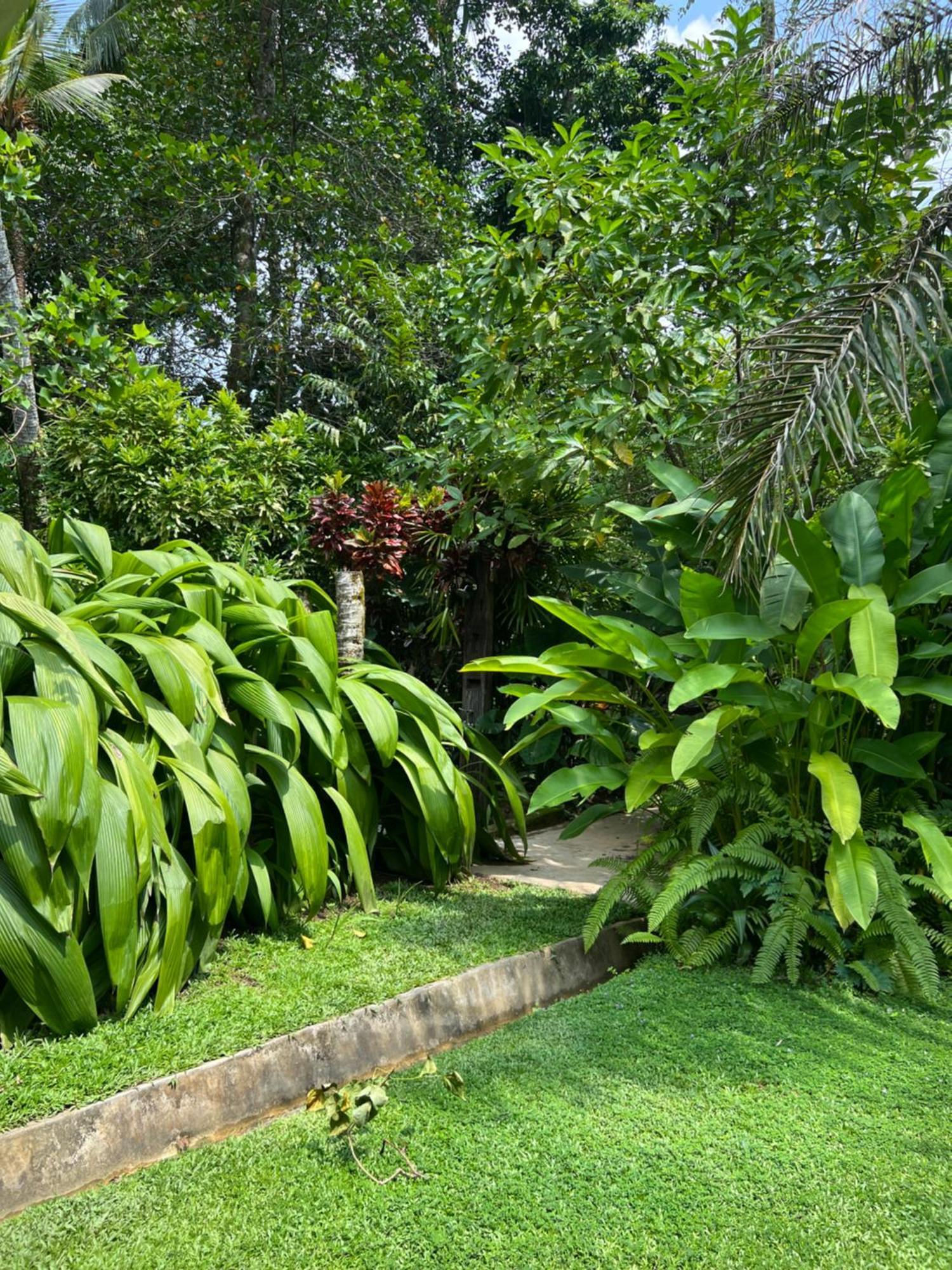 Medusa Bungalow - Galle Exterior foto